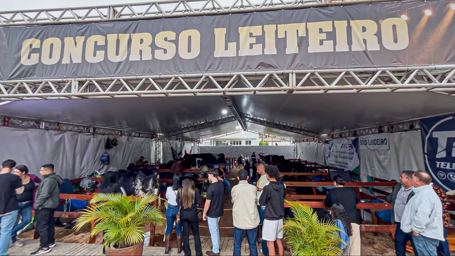 Concurso Leiteiro 46ª Expo